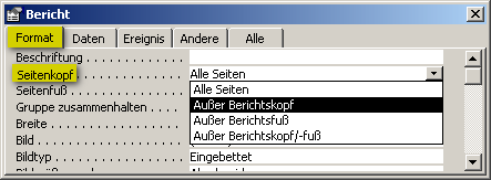 Berichtseigenschaften - Format - Seitenkopf